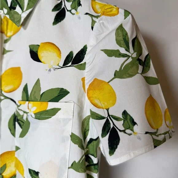 Cynthia Rowley Lemon Print Button-Up Dress.
Size XS - Picture 5 of 9